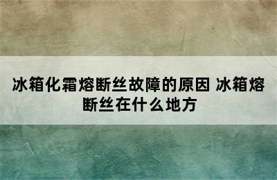 冰箱化霜熔断丝故障的原因 冰箱熔断丝在什么地方